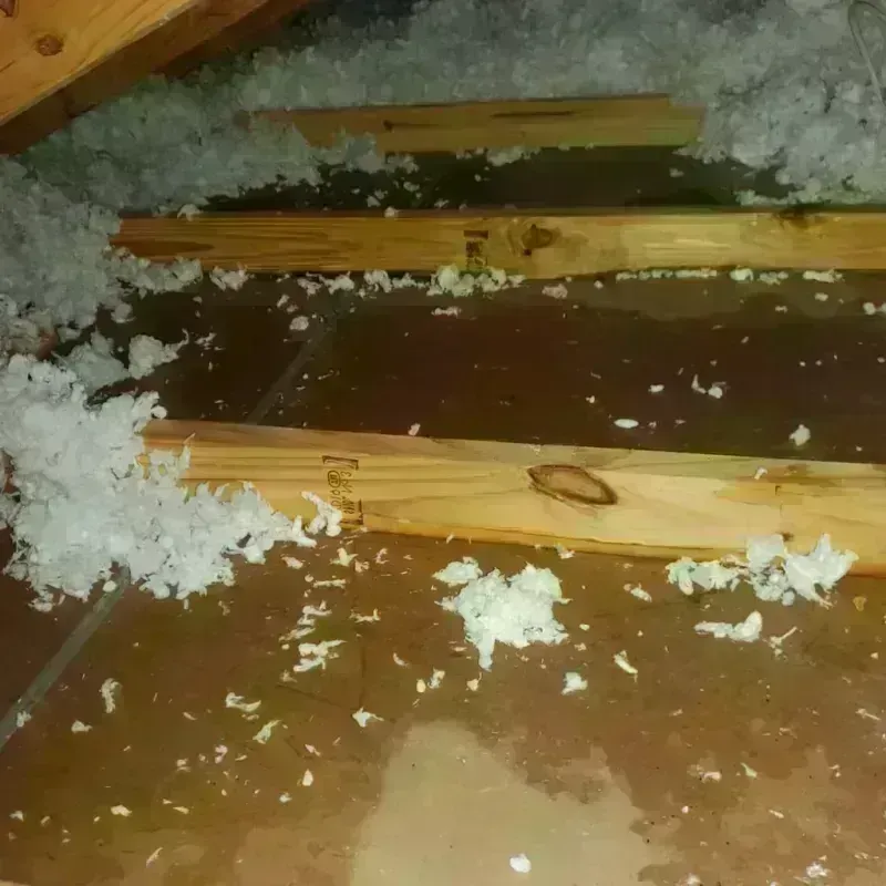 Attic Water Damage in Jackson Parish, LA